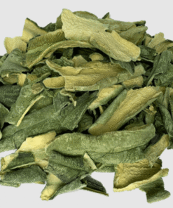 Getrocknete Haut des San Pedro Kaktus