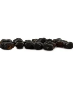 PERUVIAN TORCH (ECHINOPSIS PERUVIANA) 20 SEEDS