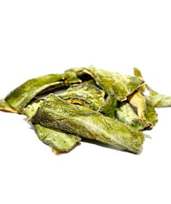 san-pedro-dried-skin-trichocereus-huachuma