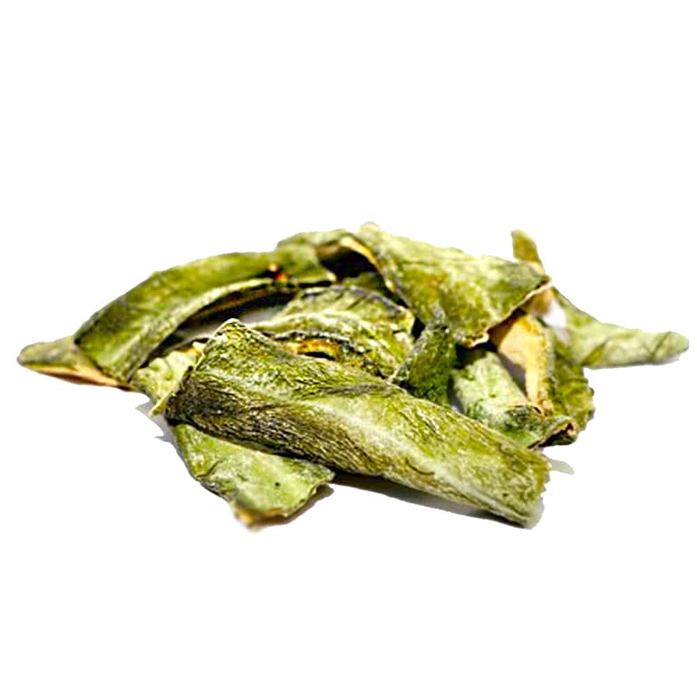 san-pedro-dried-skin-trichocereus-huachuma