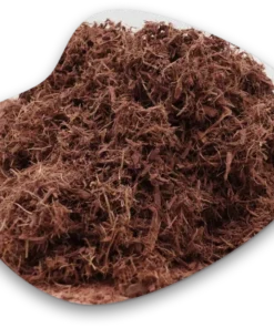 Buy-Mimosa-Hostilis-Root-Bark-2kg-in-Europe