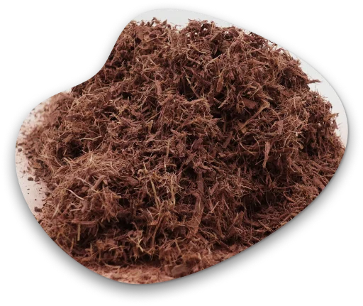 Buy-Mimosa-Hostilis-Root-Bark-2kg-in-Europe